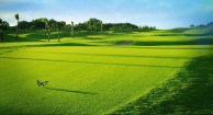 Twin Doves Golf Club - Green